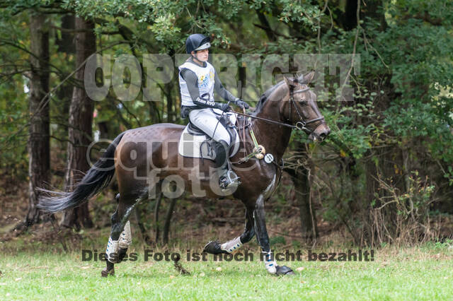 Vielseitigkeit RSV Wesel Obrighoven (26.+27.09.2020)