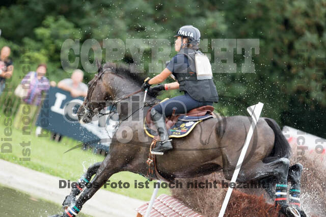 FEI European Championship