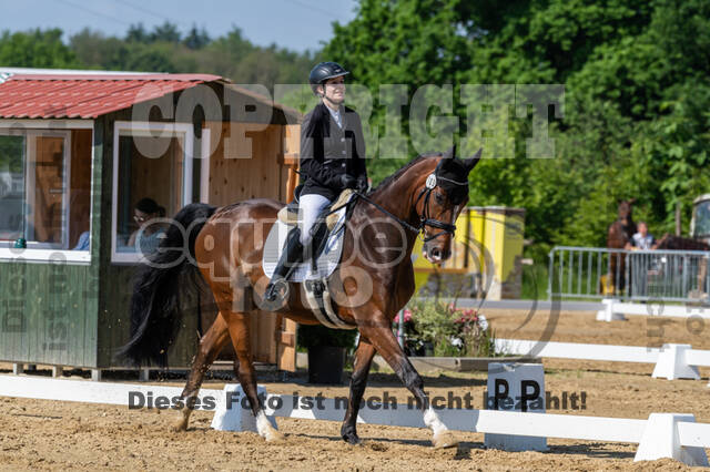 Westerstede Horse Trials 2021