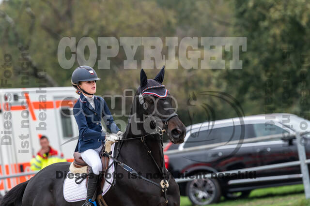 Reiter Schleswig-Holstein