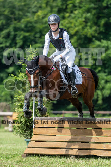 Goldene Schärpe 2021 - Ponys