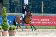 Goldene Schärpe 2021 - Ponys