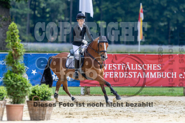 Goldene Schärpe 2021 - Ponys