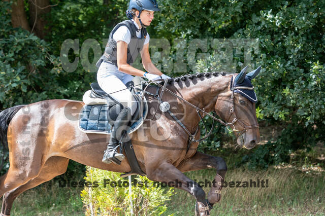 Late-Entry-Vielseitigkeit Langenfeld (06.+07.07.2020)