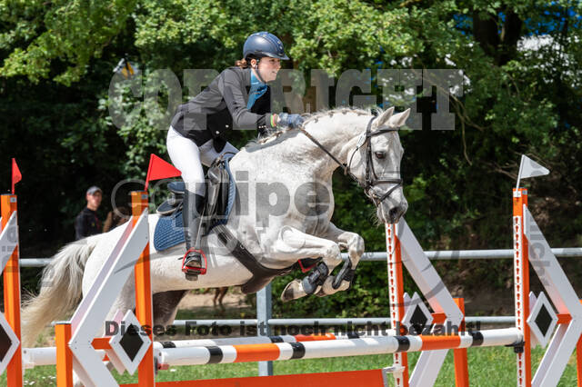 Late-Entry-Vielseitigkeit Langenfeld (06.+07.07.2020)