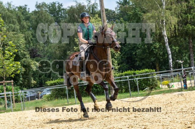 Hunter Geländetraining 10.07.2021 (Sonsbeck)