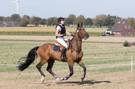 IGV Kleve