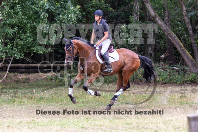 Late-Entry Vielseitigkeit Hamminkeln/Wesel (01.+02.08.2020)