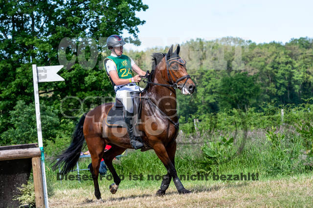 Westerstede Horse Trials (10.-13.06.2021)