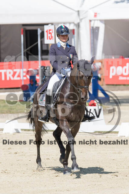 FEI European Championship