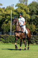 Kronenberg - De Peelbergen (August 2020)