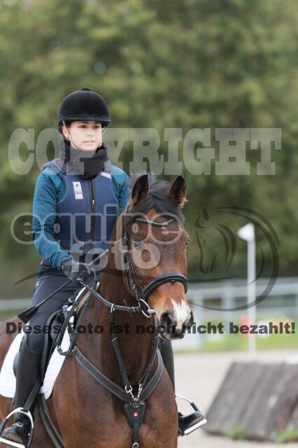 IGV Lehrgang der Sieger der Cups mit Frank Ostholt