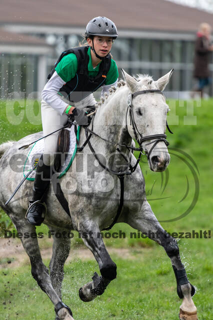 Goldene Schärpe 2020 - Pferde