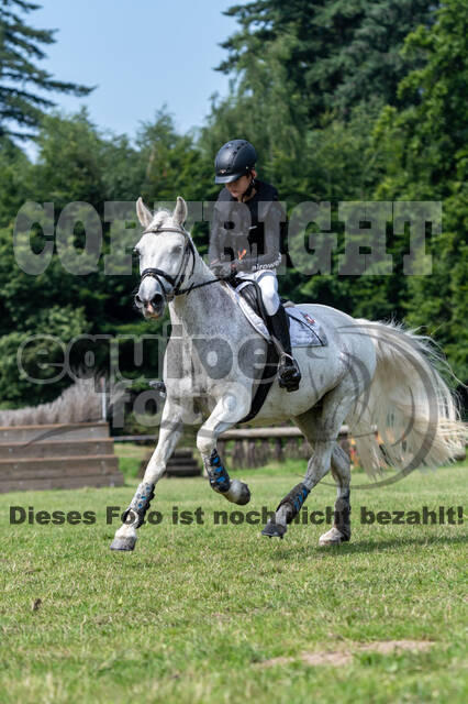 Goldene Schärpe 2021 - Ponys