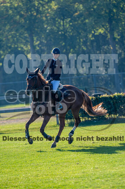 De Peelbergen (August 2020)