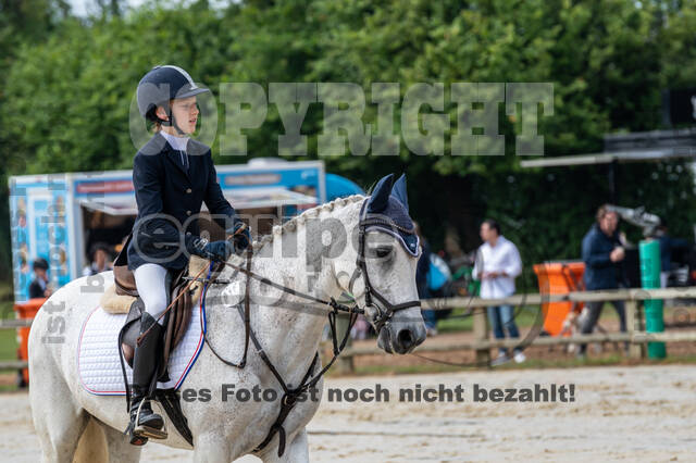 Goldene Schärpe 2021 - Ponys