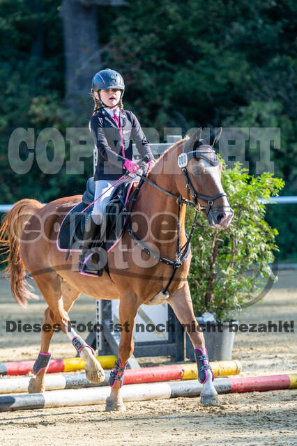 RFV Dinslaken-Hiesfeld (Herbstturnier)