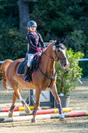 RFV Dinslaken-Hiesfeld (Herbstturnier)
