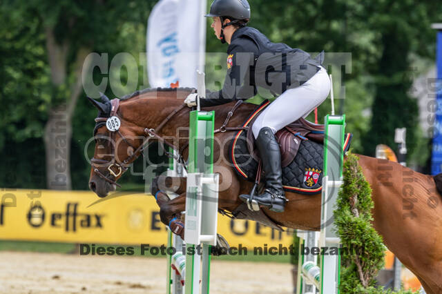 Goldene Schärpe 2021 - Ponys