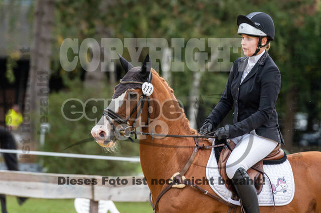 Vielseitigkeit RSV Wesel Obrighoven (26.+27.09.2020)