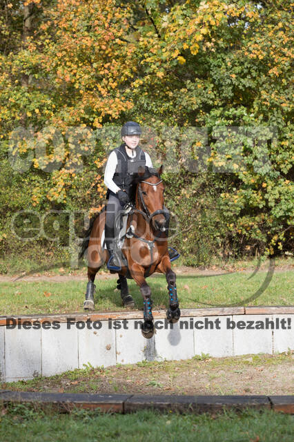 IGV Lehrgang der Sieger der Cups mit Frank Ostholt