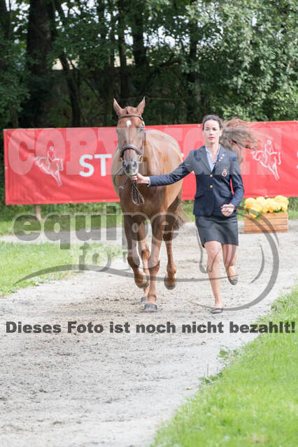 FEI European Championship Eventing 2017