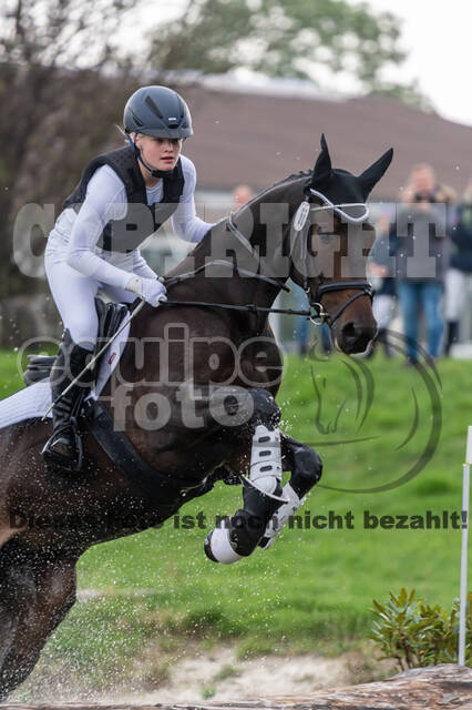 Goldene Schärpe 2020 - Pferde