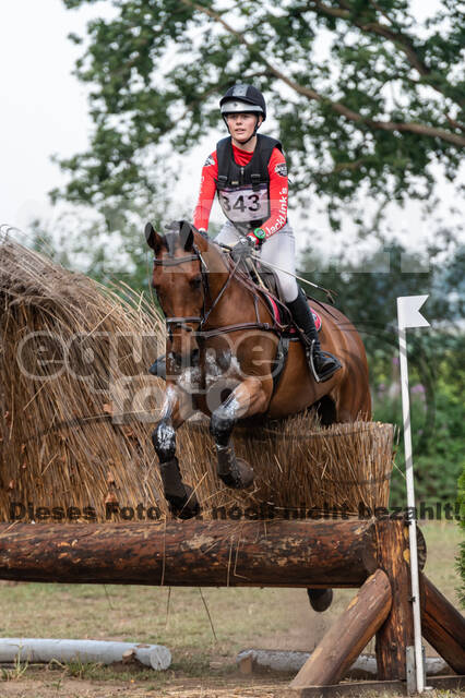 De Peelbergen (August 2020)