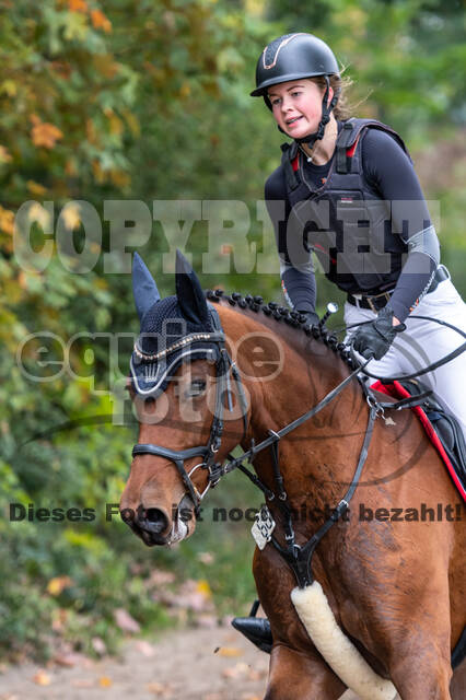 Goldene Schärpe 2020 - Pferde