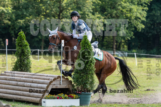 Goldene Schärpe 2021 - Ponys