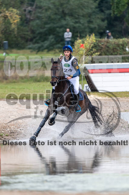Deutsche Meisterschaft Vielseitigkeit (Luhmühlen)