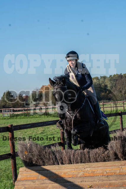 Vielseitigkeitslehrgang mit Jürg Kurbel (9.+10.11.2019)