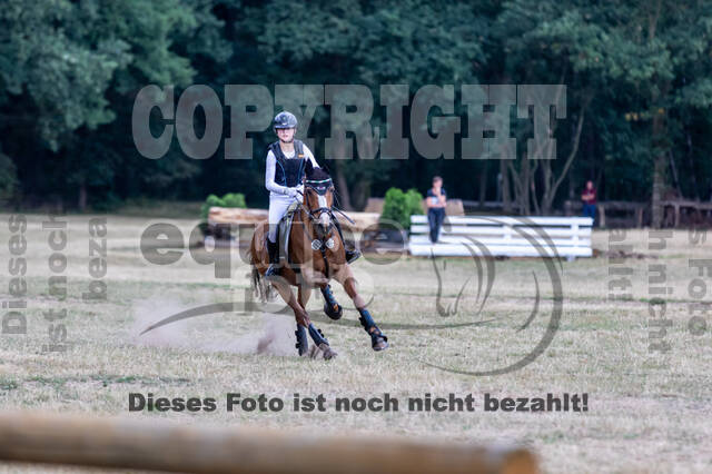 Late-Entry Vielseitigkeit Hamminkeln/Wesel (01.+02.08.2020)