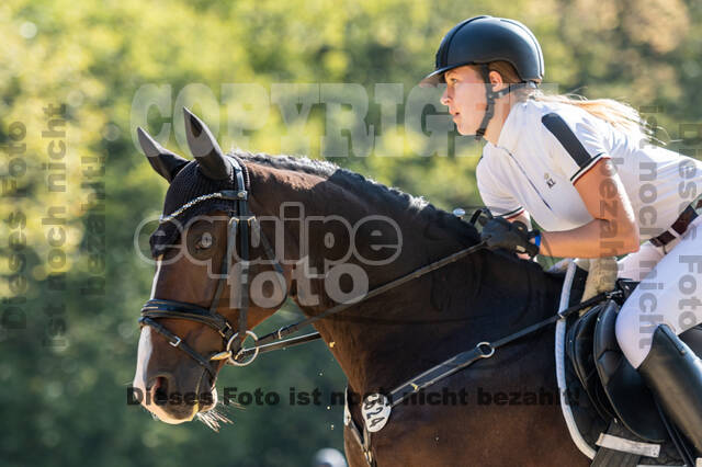 RFV Dinslaken-Hiesfeld (Herbstturnier)