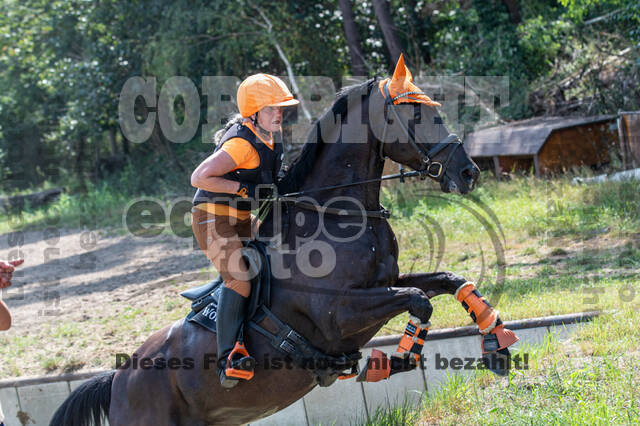 Hunter Geländetraining (16.08.2020)