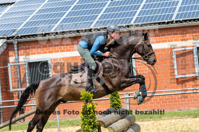 Hunter Geländetraining 10.07.2021 (Sonsbeck)
