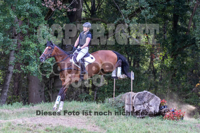 Late-Entry Vielseitigkeit Hamminkeln/Wesel (01.+02.08.2020)