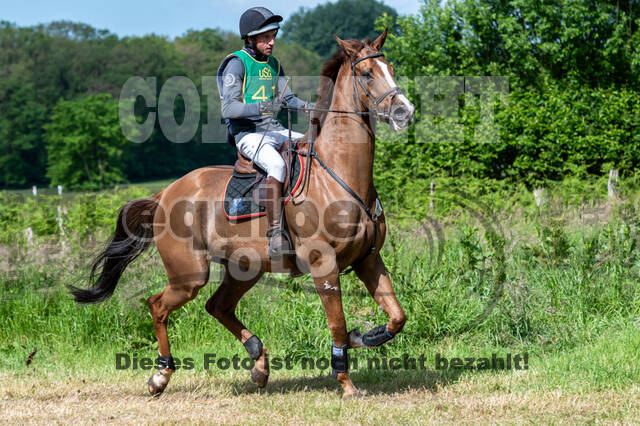 Westerstede Horse Trials (10.-13.06.2021)