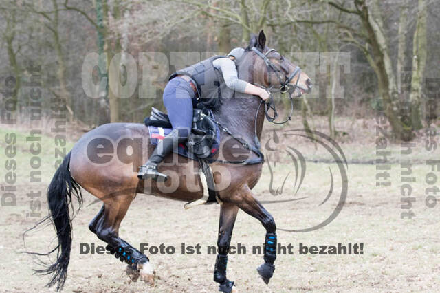 Geländetrainings RSV St. Hubertus Wesel Obrighoven