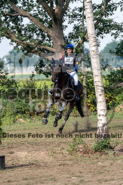 De Peelbergen (August 2020)