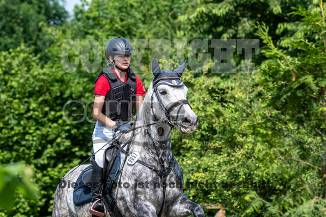 Goldene Schärpe 2021 - Ponys