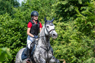 Goldene Schärpe 2021 - Ponys