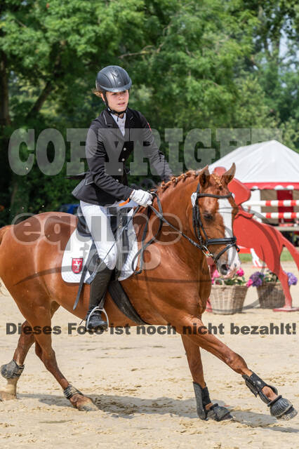 Goldene Schärpe 2021 - Ponys