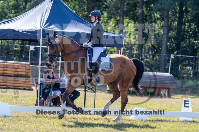 Kronenberg - De Peelbergen (August 2020)