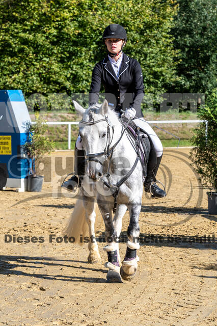 RFV Dinslaken-Hiesfeld (Herbstturnier)