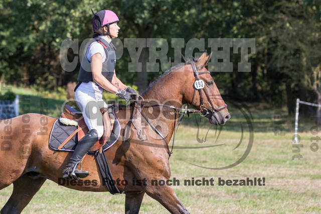 Vielseitigkeitsturnier RSV St. Hubertus Wesel Obrighoven
