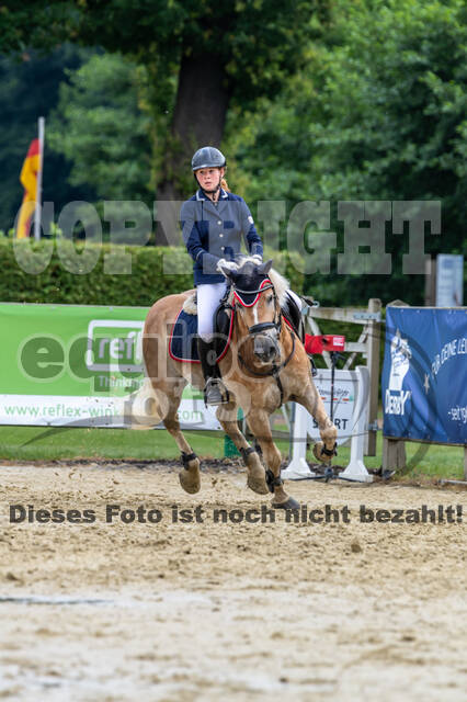Goldene Schärpe 2021 - Ponys