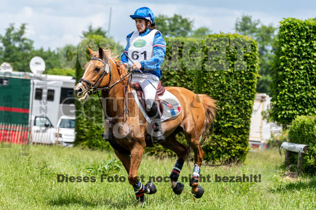 Westerstede Horse Trials 2021