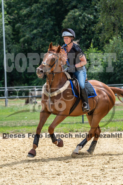 Hunter Geländetraining 10.07.2021 (Sonsbeck)