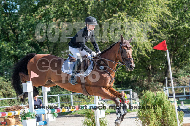 Landesturnier Rheinland, Vielseitigkeit, 22.+23.08.2020